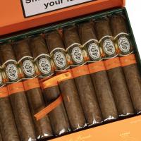 Casa 1910 Revolutionary Edition Cuchillo Parado Robusto Cigar - Box of 10